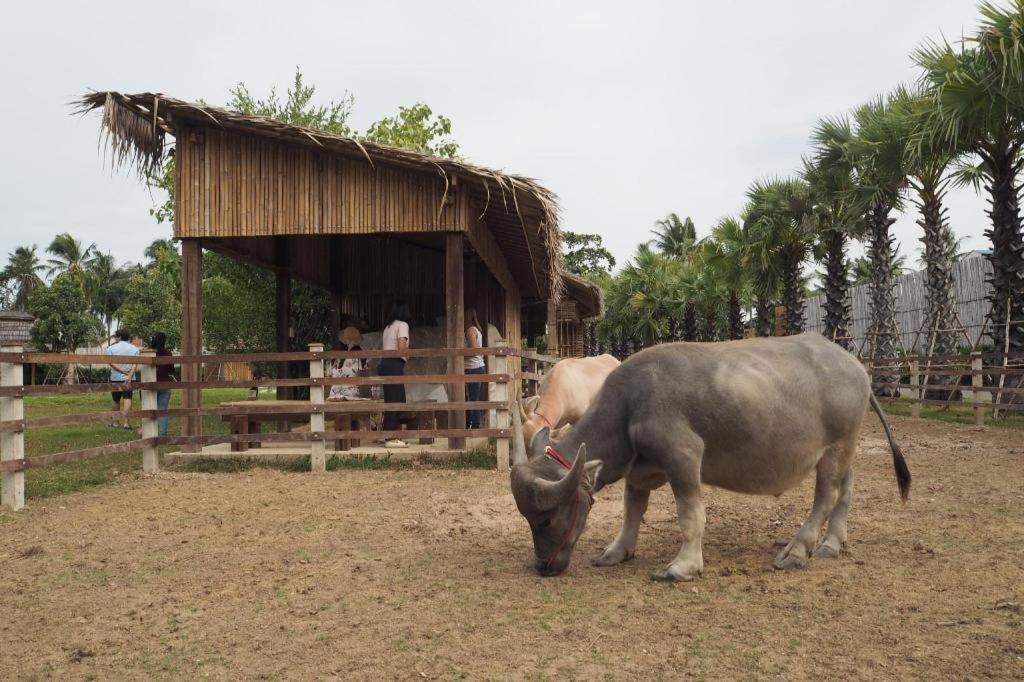 Отель The Buffalo Amphawa Samut Songkhram Экстерьер фото