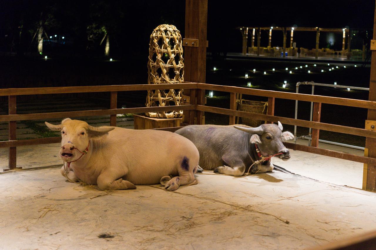 The Buffalo Amphawa Samut Songkhram Экстерьер фото